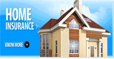 Boerne Home Insurance
